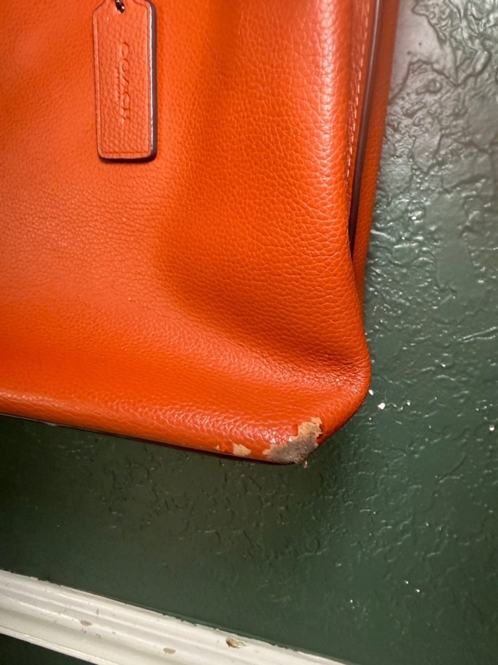 Coach Mollie Pebble Leather Tote Bag - Picture 5 of 15